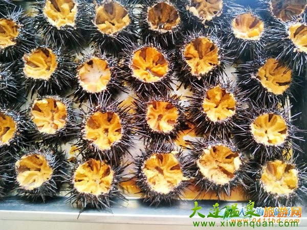 獐子島歡樂(lè)漁家