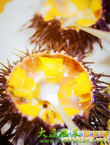 獐子島歡樂(lè)漁家