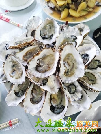 獐子島歡樂(lè)漁家
